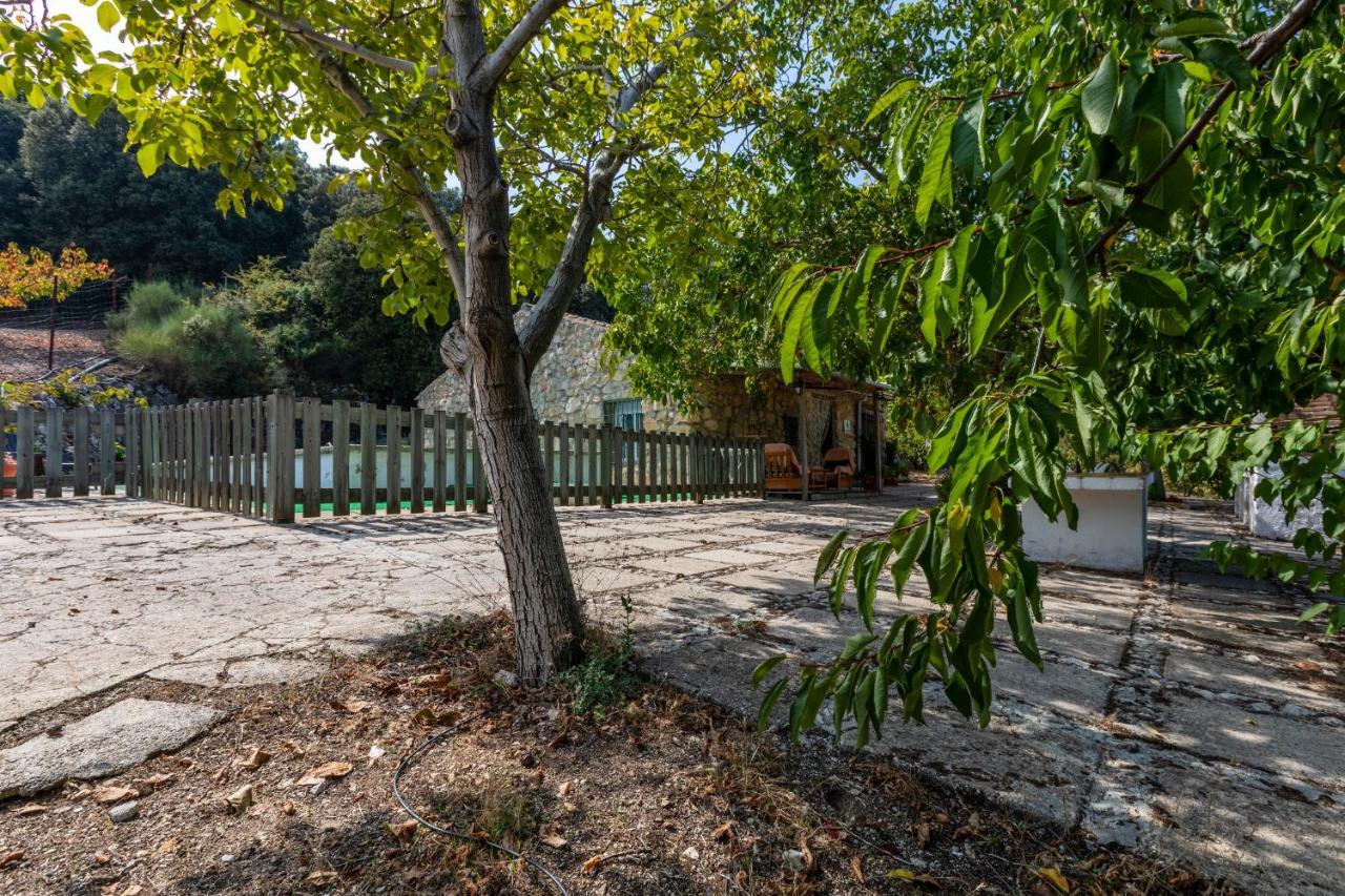 Pensjonat Casa Jurinea Torres  Zewnętrze zdjęcie