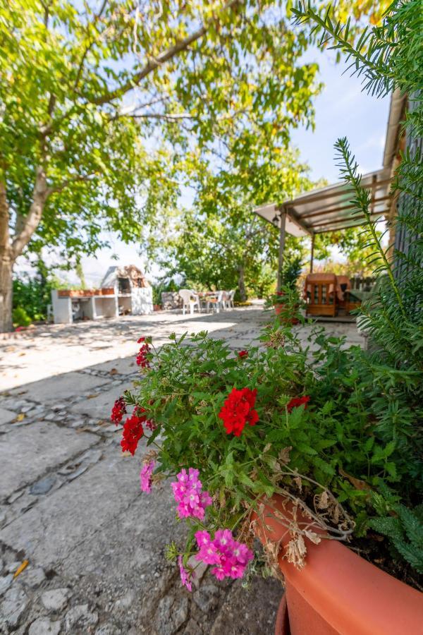 Pensjonat Casa Jurinea Torres  Zewnętrze zdjęcie